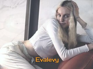 Evalevy