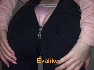 Evalike