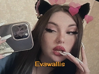 Evawallis