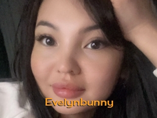 Evelynbunny