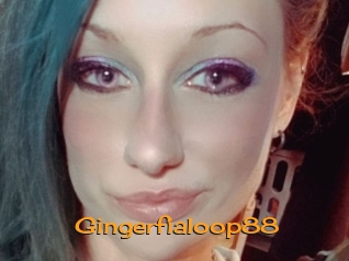 Gingerfialoop88