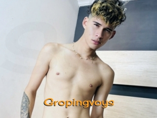 Gropingvoys