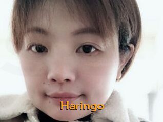 Haringo