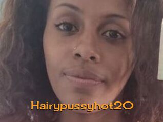 Hairypussyhot20