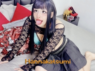 Hannakatsumi