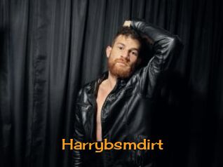 Harrybsmdirt