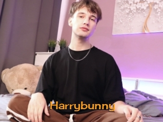 Harrybunny