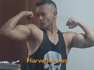 Harveytorres