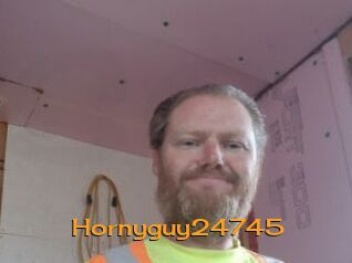 Hornyguy24745