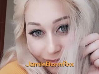 JamieBornfox