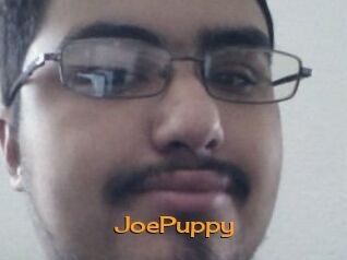 JoePuppy