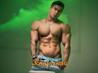 Joeyevans