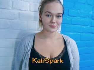 KaliSpark