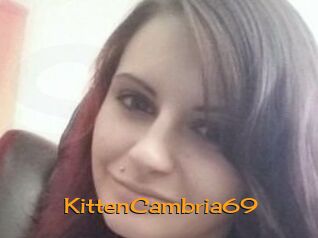 KittenCambria69