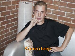 Kanesteep