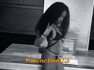 Kaninchen23