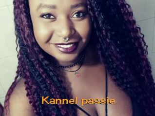 Kannel_passie