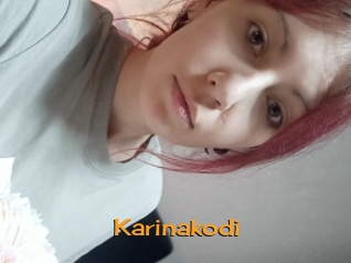 Karinakodi