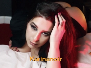 Karinanoir