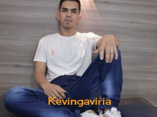 Kevingaviria