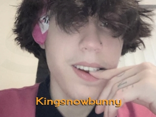 Kingsnowbunny