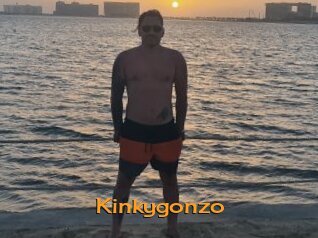 Kinkygonzo