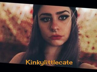 Kinkylittlecate