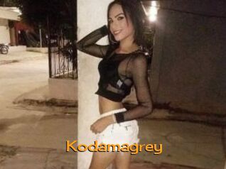 Kodamagrey