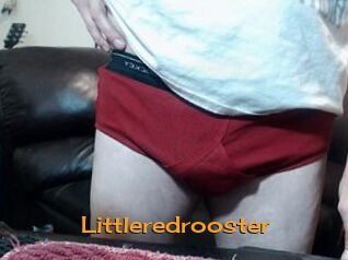 Littleredrooster