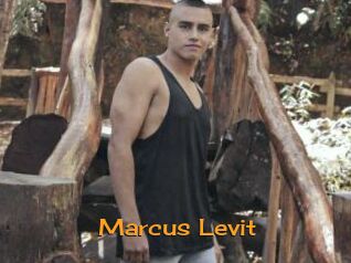 Marcus_Levit