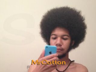 MrCotton