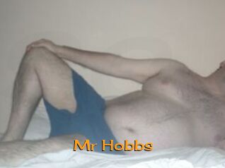 Mr_Hobbs