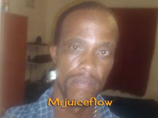 Mrjuiceflow