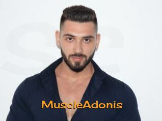 MuscleAdonis