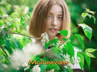 Mollieevans