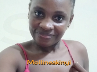 Mollineakinyi