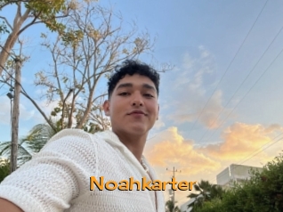 Noahkarter