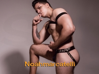 Noahmarcatelli