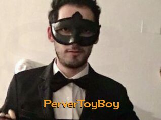 PerverToyBoy