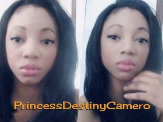 PrincessDestinyCamero