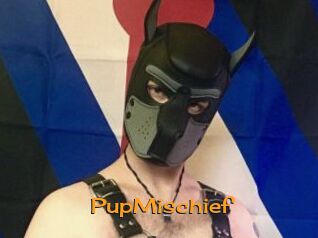 PupMischief