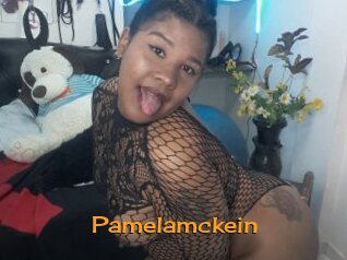 Pamelamckein