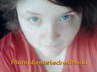 Plumpbreastedredhead