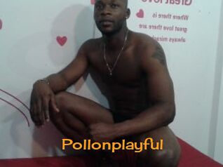 Pollonplayful