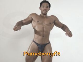 Pumebonyfit