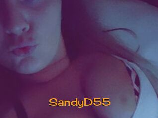 SandyD55