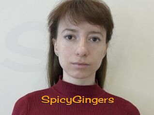 SpicyGingers