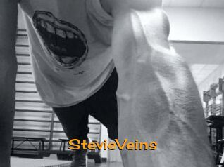 StevieVeins