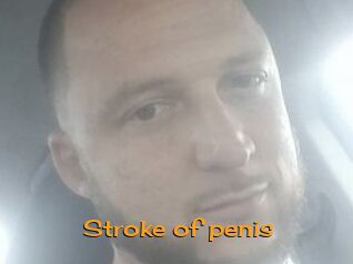 Stroke_of_penis