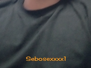 Sebosexxxx1